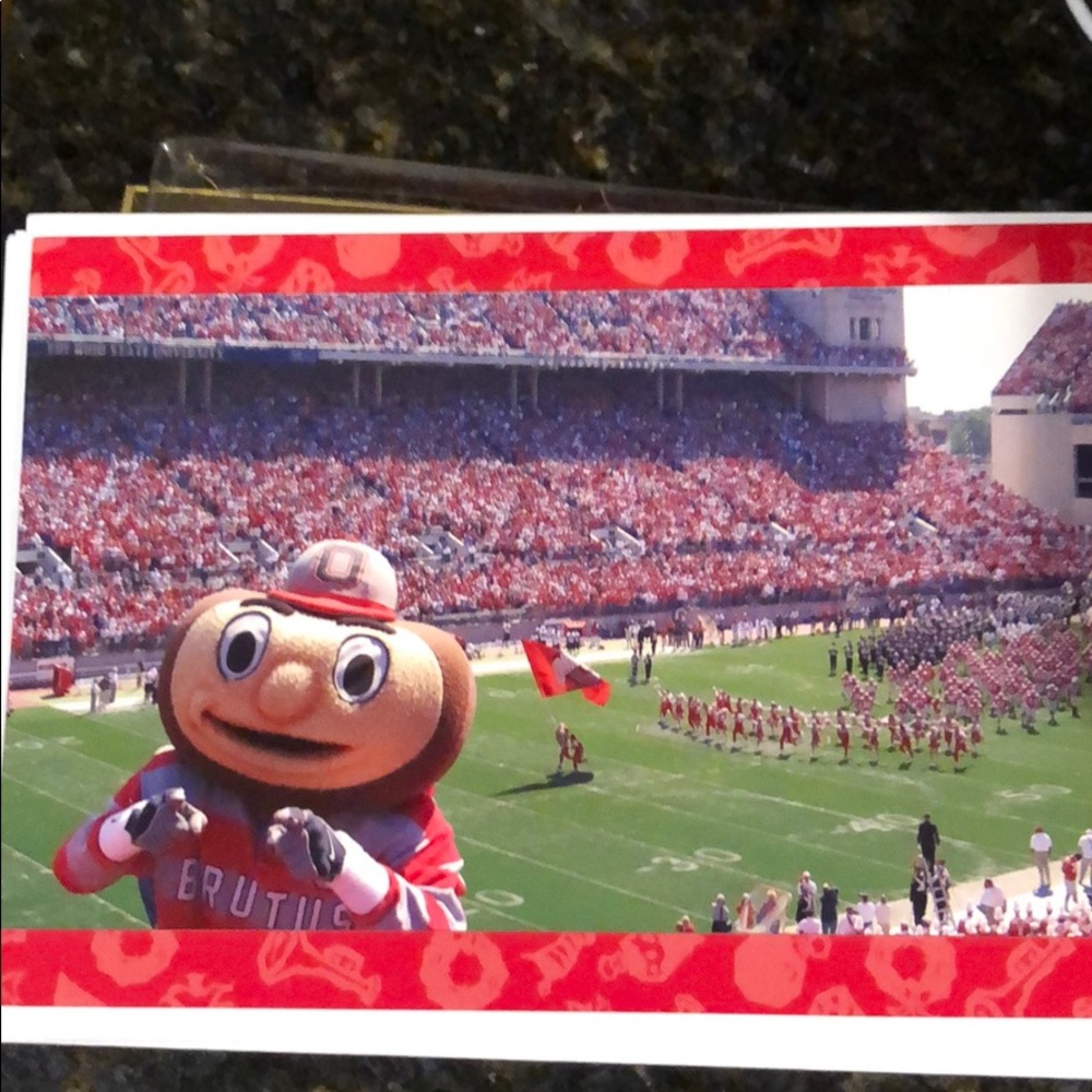Ohio State University cards